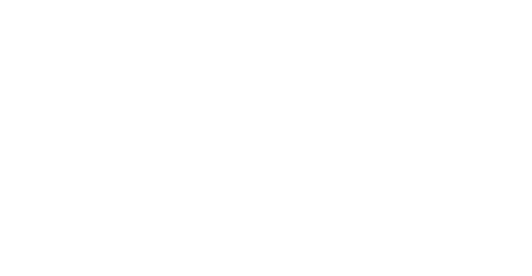 BSPC Logo