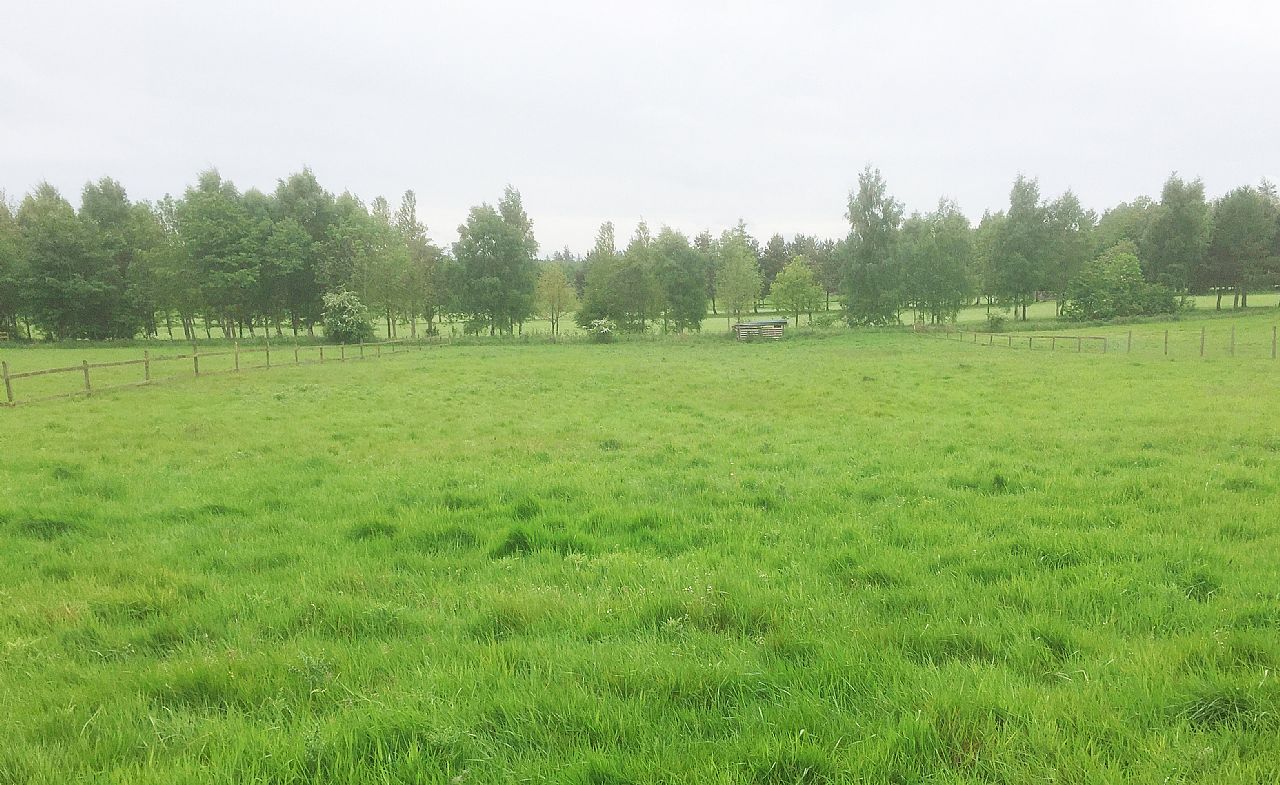 Plot 2, Hardens Hall Duns TD11 3NS